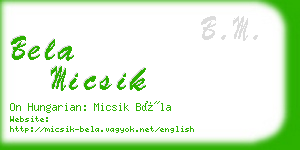 bela micsik business card